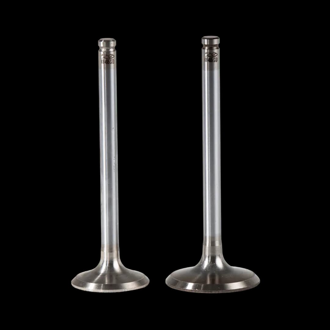 Engine Valves & Valve Guides